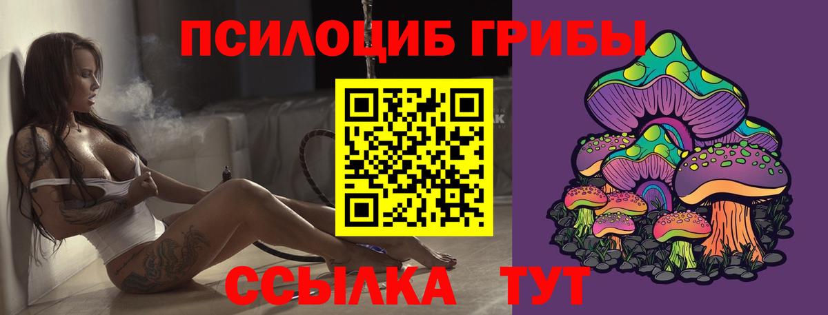Псилоцибиновые грибы Psilocybine cubensis Аргун