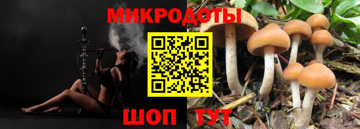 Аргун  Галлюциногенные грибы Cubensis  Вход с VPN 