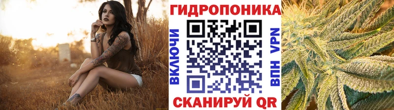 Конопля White Widow  Аргун 